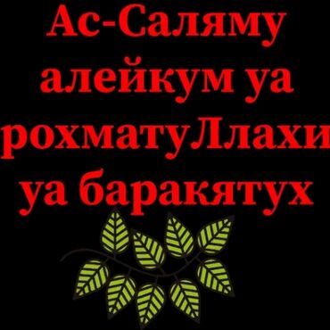 работа для медицинских сестер: Ассаламу алейкум курак курайм жумуш болсо жазгыла иштешебиз үйгө