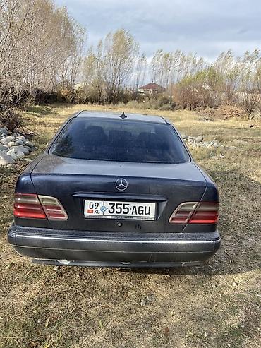 hyundai samsung: Mercedes-Benz E-Class: 1999 г., 2.2 л, Автомат, Дизель, Седан — 2