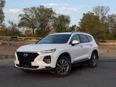 включатель фар мерс: Hyundai Santa Fe: 2018 г., 2 л, Автомат, Дизель, Кроссовер