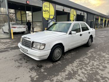 Mercedes-Benz: Mercedes-Benz 220: 1990 г., 2.2 л, Механика, Бензин, Седан