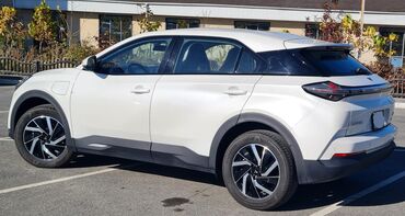 BYD: BYD : 2022 г., Автомат, Электромобиль, Кроссовер — 8