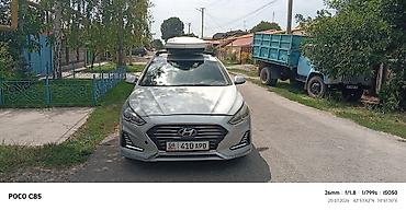 потолок хонда аккорд: Hyundai Sonata: 2018 г., 2 л, Автомат, Газ, Седан — 1