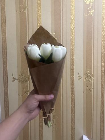 101 gul: Ağ rəngli lalələrdən mini buket - Tərkib: 5 ədəd ağ lalə saplağı — 2