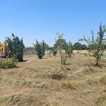 sirvan satiram: Oğuz rayonunun Şirvanlı kəndində rayon mərkəzindən 10 km,Xalxal — 5