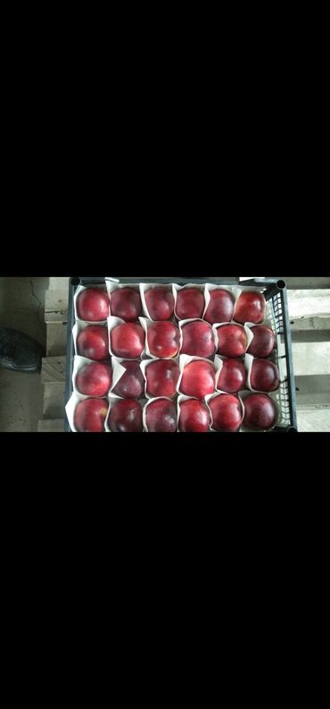 Ящики: Ящик, Новый — 13