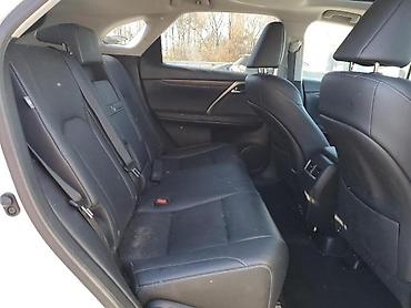 Lexus: Lexus RX: 2020 г., 3.5 л, Автомат, Бензин, Кроссовер — 11