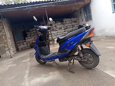 купить аккумулятор на скутер: Электроскутер ECO BIKE, синий цвет - Тип: электрический скутер (без — 5