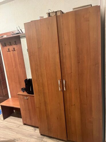 İşlənmiş, Açılan, 2 qapılı Düz dolab, Dəhliz dolabı