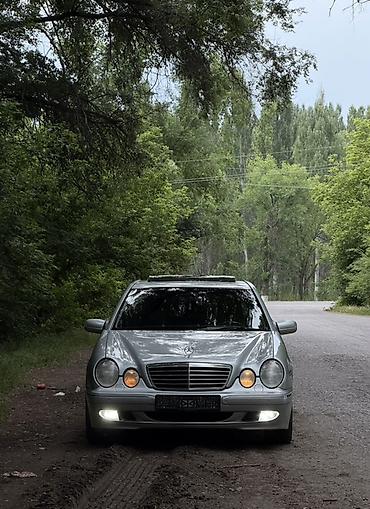 w210 милениум: Mercedes-Benz E-Class: 2000 г., 4.3 л, Автомат, Бензин, Седан — 5