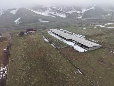 Продажа сельхоз предприятий: Продаю Кошара, 800 соток, Действующий, С оборудованием — 16