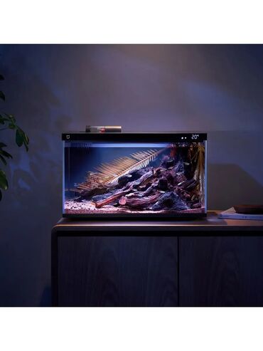торпогу менен уй: Xiaomi выпустила умный аквариум Mijia Smart Fish Tank, в котором можно