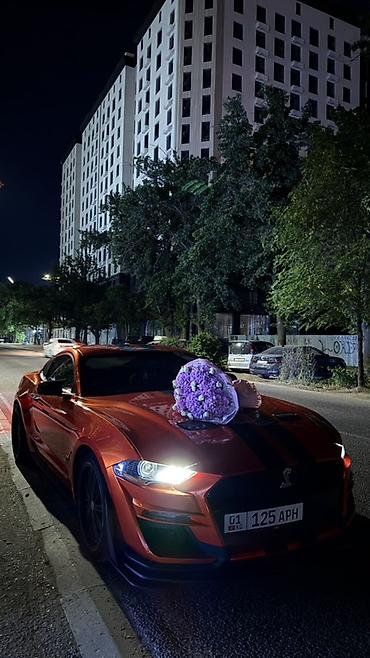dodge challanger: Ford Mustang: 2017 г., Купе — 5