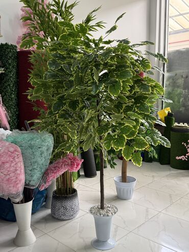 Güzgülər: Güzgü Divar üçün — 10