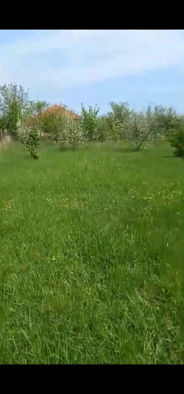 Torpaq sahələrinin satışı: 8 sot, Kənd təsərrüfatı, Mülkiyyətçi, Bələdiyyə -da lalafo.az — 1 Torpaq sahələrinin satışı: 8 sot, Kənd təsərrüfatı, Mülkiyyətçi, Bələdiyyə — 1