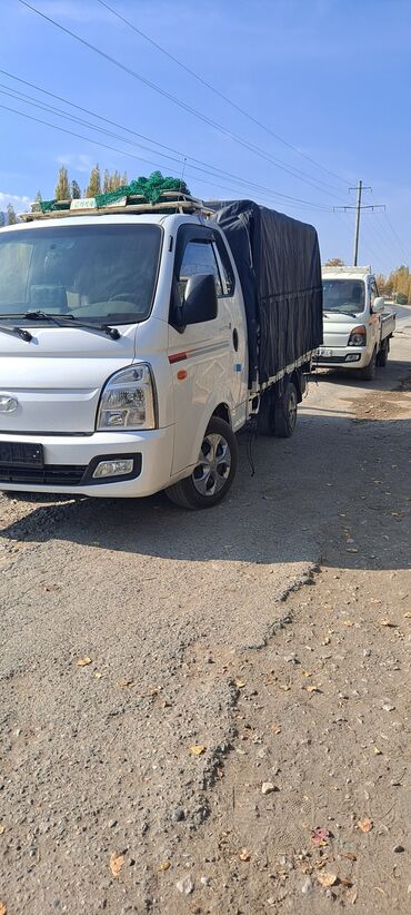 хундай пертер: Жеңил жүк ташуучу унаа, Hyundai, Стандарт, Колдонулган