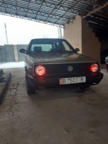 Volkswagen: Volkswagen Golf: 1996 г., 1.8 л, Механика, Бензин, Внедорожник