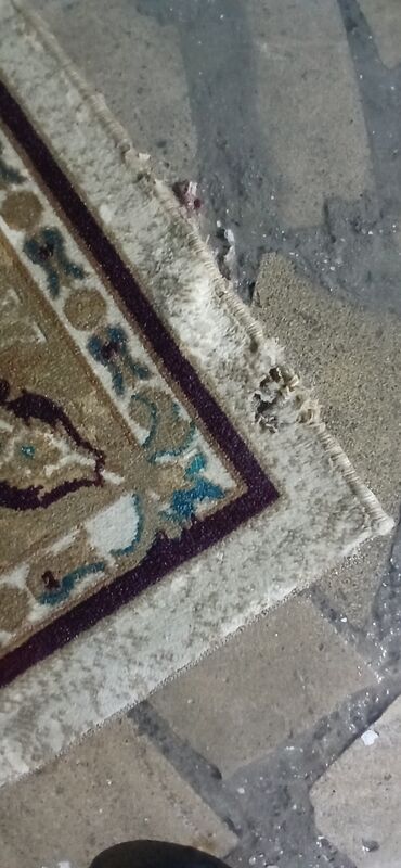 Xalçalar: Xalça Dekorativ, Kredit yoxdur — 9