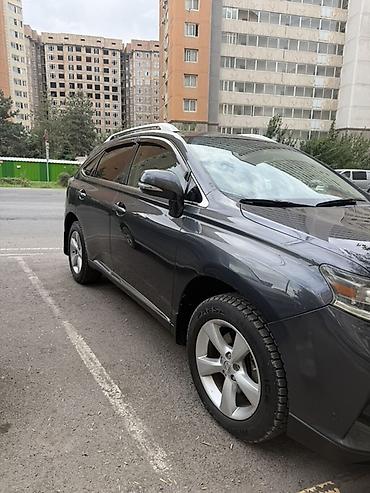 коричневый салон: Lexus RX: 2010 г., Кроссовер — 1