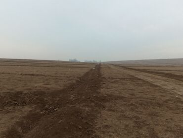 Продажа участков: 1300 соток, Для сельского хозяйства, Договор купли-продажи — 12