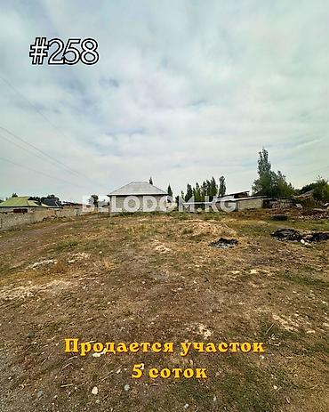 5 соток