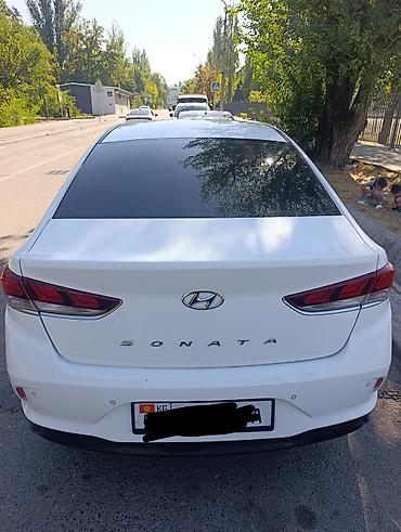tsunami купить: Hyundai Sonata: 2019 г., 2 л, Автомат, Газ, Седан — 4