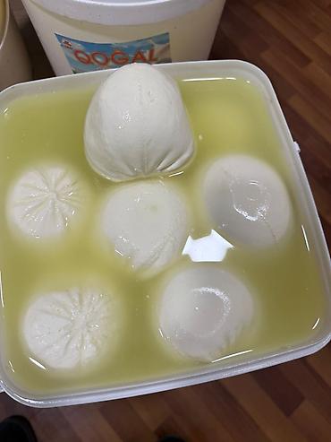 mozarella pendir: Salam pendir cesidleri kartof free restoranlara topdancilara serf — 5