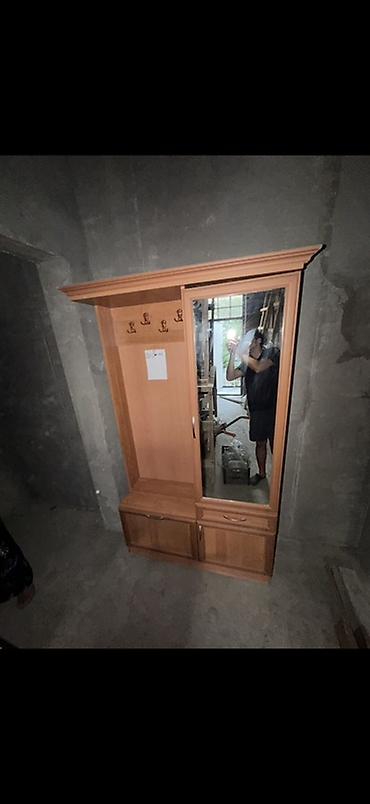 Dəhliz dolabları: Dəhliz üçün çoxfunksiyalı asılqanlı dolab normal veziyetde Endirim — 2