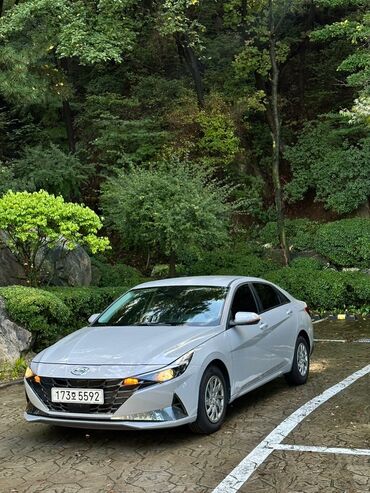 органайзер в багажник: Hyundai Elantra: 2021 г., Бензин, Седан