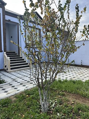 Həyət evləri və villaların satışı: Məmmədli 4 otaqlı, 130 kv. m, Kredit yoxdur, Yeni təmirli — 8