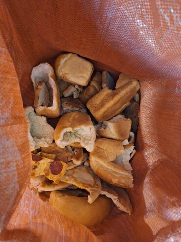 где купить кукурузу для попкорна в бишкеке: Отдам даром 1 мешок сухих хлебобулочных остатков для кормления