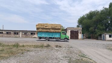 бычок купить: Арпа саман алам озум алып кетем куплю ячменную салому солома сам