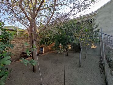 Həyət evləri və villaların satışı: 4 otaqlı, 110 kv. m, Kredit yoxdur, Yeni təmirli -da lalafo.az — 10 Həyət evləri və villaların satışı: 4 otaqlı, 110 kv. m, Kredit yoxdur, Yeni təmirli — 10