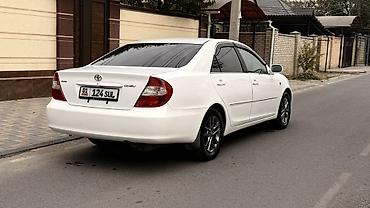 camry 2010: Toyota Camry: 2002 г. — 2