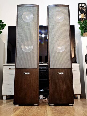 Zvučnici i stereo sistemi: Canton Ergo 670 DC podnostojeće Hi‑Fi zvučničke kutije – par - — 2