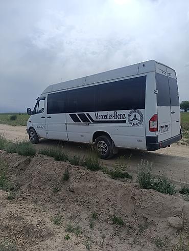 Mercedes-Benz: Mercedes-Benz Спринтер: 2004 г., 2.2 л, Дизель, Фургон — 1