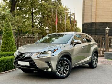 Lexus: Lexus NX: 2017 г., 2 л, Автомат, Бензин, Кроссовер