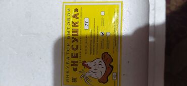 616 объявлений | lalafo.kg: Продаю инкубатор "НЕСУШКА" на 77 яйиц. Автоматический, с автоповоротом