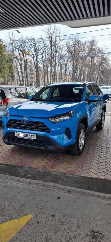 Toyota: Toyota RAV4: 2019 г., 2.5 л, Автомат, Бензин, Внедорожник