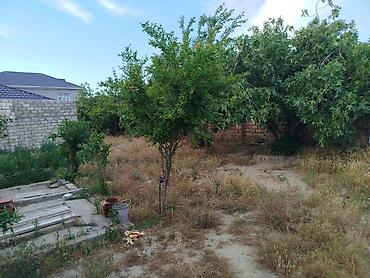 Torpaq: 4 sot, Tikinti, Mülkiyyətçi, Kupça (Çıxarış) — 1