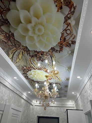 Натяжной потолок: Натяжной потолок — 2