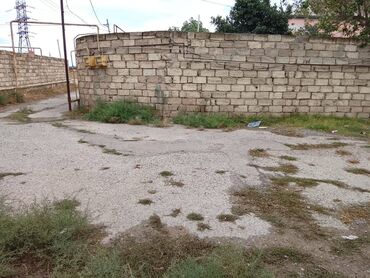 Kirayə torpaq sahələri: 3 sot