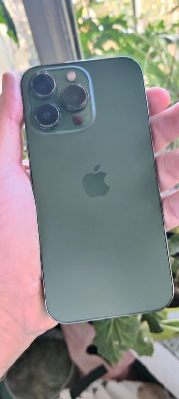 Apple iPhone: Apple iPhone iPhone 13 Pro, Alpine Green, Face ID — 22