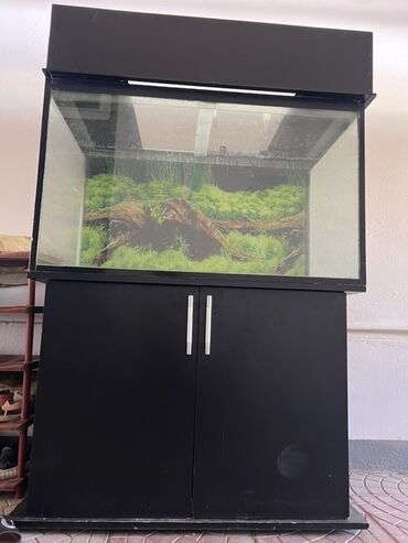Akvariumlar: Dördbucaq akvarium, Boş, 200 l, Ünvandan götürmə