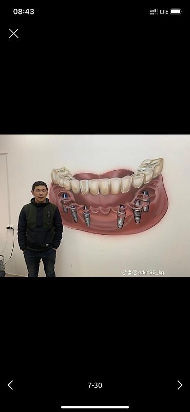 Декоративная роспись: Аэрография, Художественная роспись, Барельеф Больше 6 лет опыта — 14