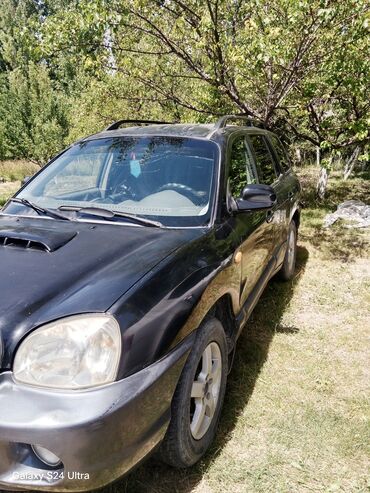 купить тойота альфард левый руль: Hyundai Santa Fe: 2002 г., 2 л, Механика, Дизель, Кроссовер