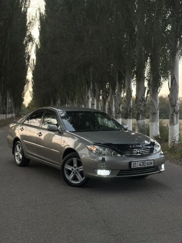 шины зимний: Toyota Camry: 2004 г., 2.4 л, Автомат, Бензин, Седан