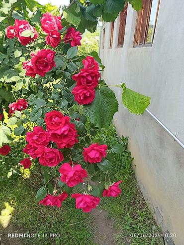 Uzunmüddətli kirayə evlər: 120 kv. m, 2 otaqlı, İnternet — 16