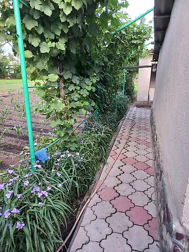 Продажа коттеджей и домов: Продам дом. Три двора,хозяйственный,главный,механический. Имеется — 20