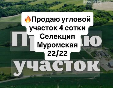Продажа домов: 4 соток, Красная книга