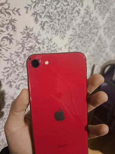 Apple iPhone: IPhone SE 2020, 64 GB, Qırmızı, Barmaq izi — 4